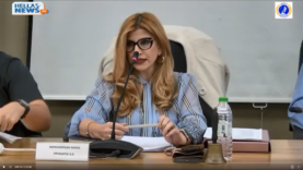 Στιγμιότυπο οθόνης (1)