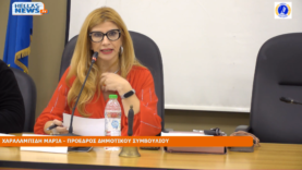 Στιγμιότυπο οθόνης (17)