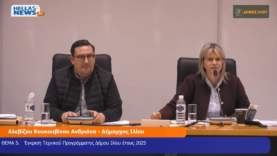 Στιγμιότυπο οθόνης (4)