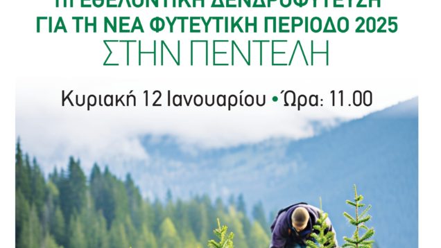 R_SPAP_1H ANADASOSH 01_2025_οκ_page-0001