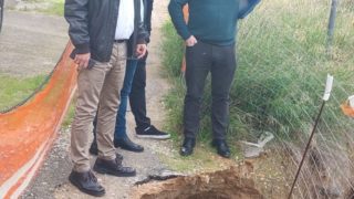 pikrodafni4-768×1024