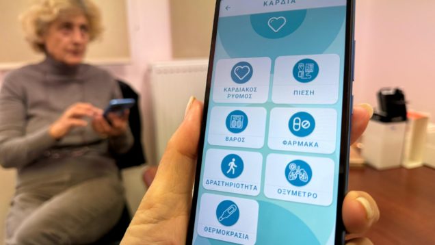 smart-bear-ellarg-13-scaled