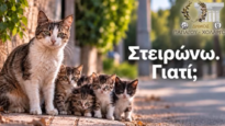 Στιγμιότυπο-οθόνης-2026-09-22-185414-1024×536